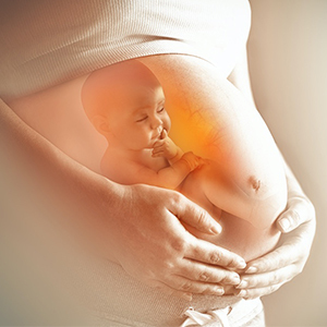 認識胚胎才知道如何保護，懷孕初期「這類飲食」原來最重要！