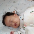 奇哥【比得兔冬夏兩用立體透氣床墊】~給寶寶一夜好眠,睡醒不再濕背秀~