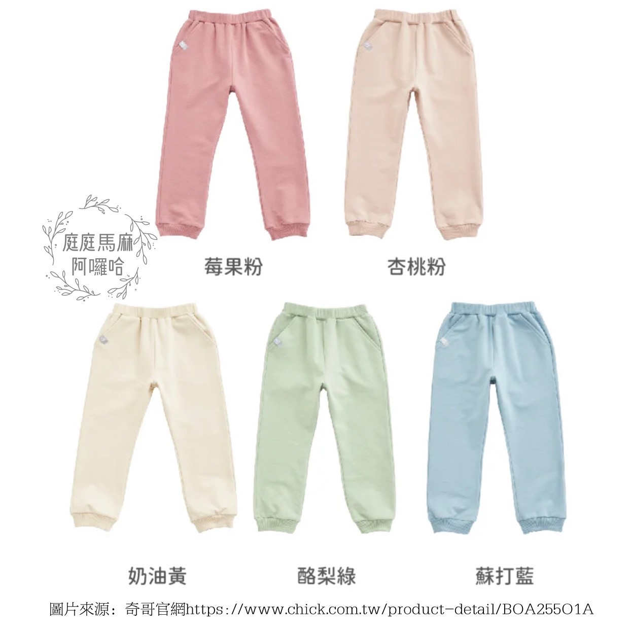 【CHIC BASICS】服飾體驗分享 - 奇哥 online store