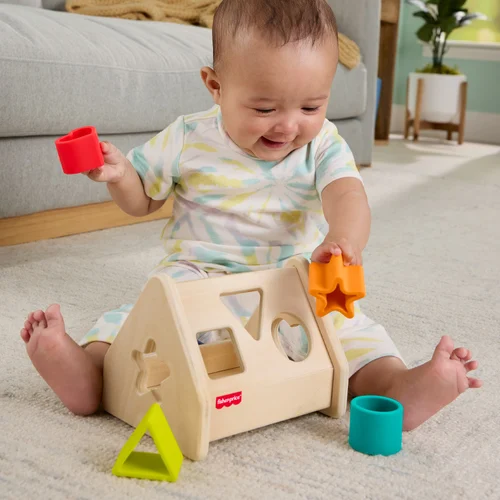 費雪木製玩具形狀分類積木盒