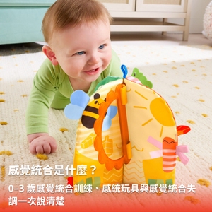 感覺統合是什麼?0–3 歲感覺統合訓練、感統玩具與感覺統合失調一次說清楚 感覺統合是什麼?0–3 歲感覺統合訓練、感統玩具與感覺統合失調一次說清楚