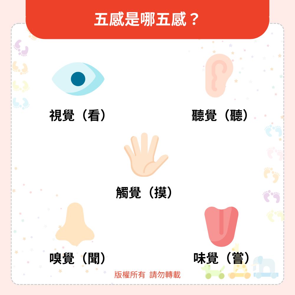 五感是哪五感